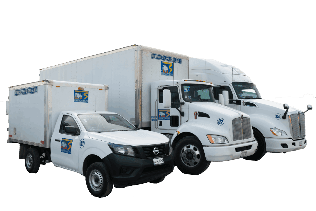 Flota de camiones MSE Logistics - tres unidades de carga representando nuestra flota operativa